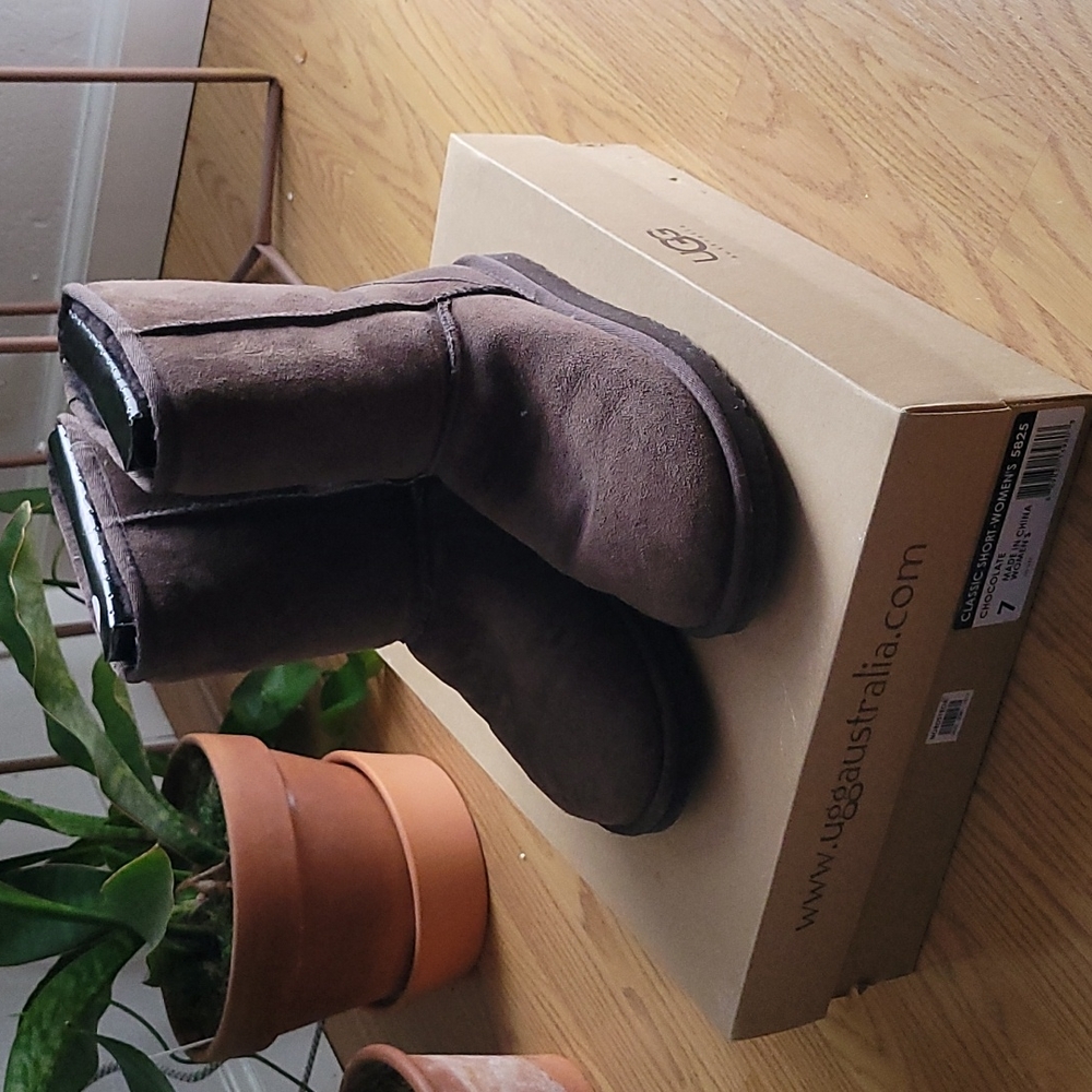 Womens Uggs short